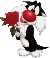 Silvestre-11.gif