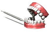 Odontologo-06.gif