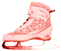 Patines-hielo-02.gif