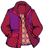 Vestuario-346.gif