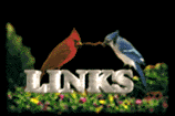 Enlace-link-71.gif