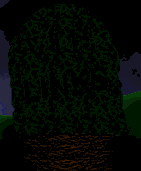 Enlace-link-79.gif