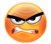 Smilie-903.gif