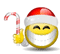 Smilie-1340.gif