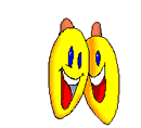 Smilie-1342.gif