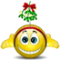 Smilie-1357.gif