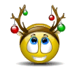 Smilie-1362.gif