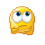 Smilie-1377.gif