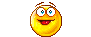 Smilie-1676.gif