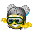 Smilie-1796.gif