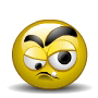 Smilie-1807.gif
