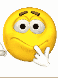 Smilie-1813.gif