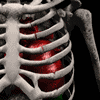 Avatares-de-calaveras-y-esqueletos-27.gif