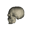 Avatares-de-calaveras-y-esqueletos-32.gif