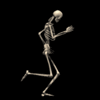 Avatares-de-calaveras-y-esqueletos-35.gif
