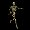 Avatares-de-calaveras-y-esqueletos-55.gif