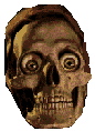 Terror-151.gif