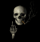 Terror-168.gif