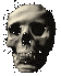 Terror-173.gif