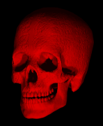 Terror-178.gif