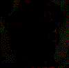 Terror-181.gif