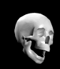 Terror-185.gif