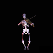 Terror-264.gif