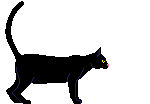 Terror-341.gif