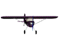 Transporte-aereo-135.gif