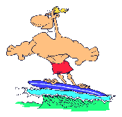 Surf-10.gif