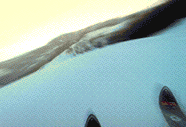 Esqui-80.gif