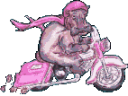 Transporte-terrestre-530.gif