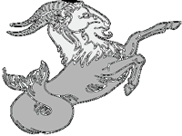 Capricornio-35.gif
